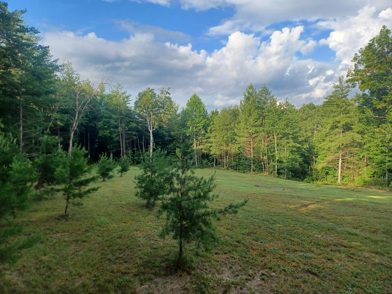 https://bt-photos.global.ssl.fastly.net/nashville/1280_boomver_1_RTC3256496-1.jpg