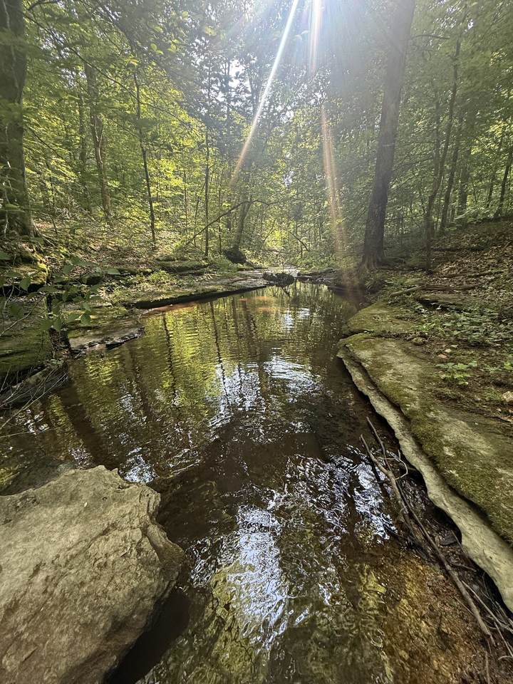0 Toll Hollow Rd - Photo 1