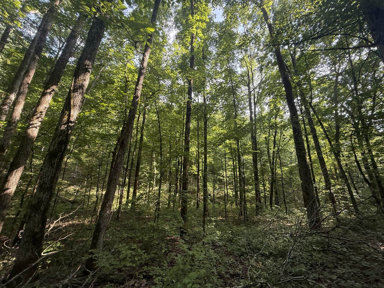 https://bt-photos.global.ssl.fastly.net/nashville/1280_boomver_1_RTC3256668-1.jpg