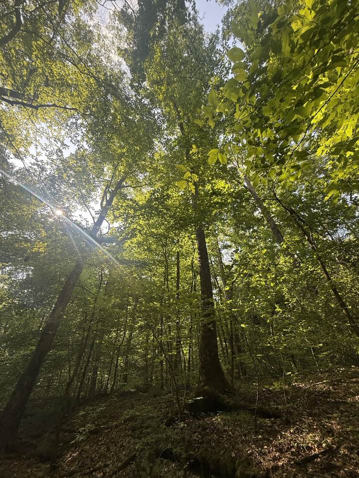 https://bt-photos.global.ssl.fastly.net/nashville/1280_boomver_1_RTC3256668-1.jpg