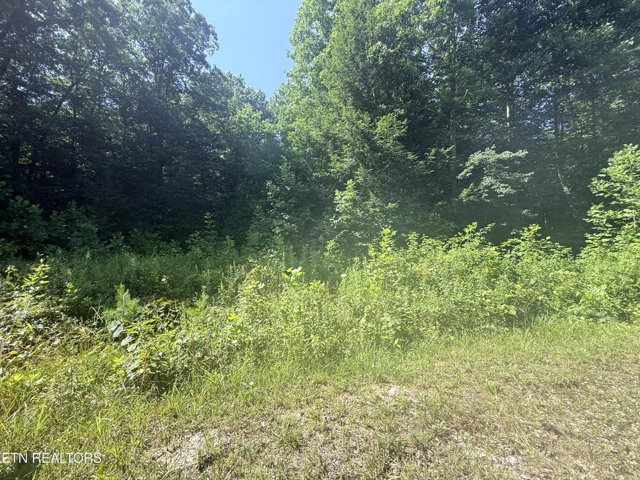 760 Dubose Drive - Photo 1