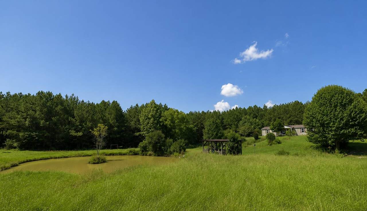 1360 N Bucks Pocket Road - Photo 1