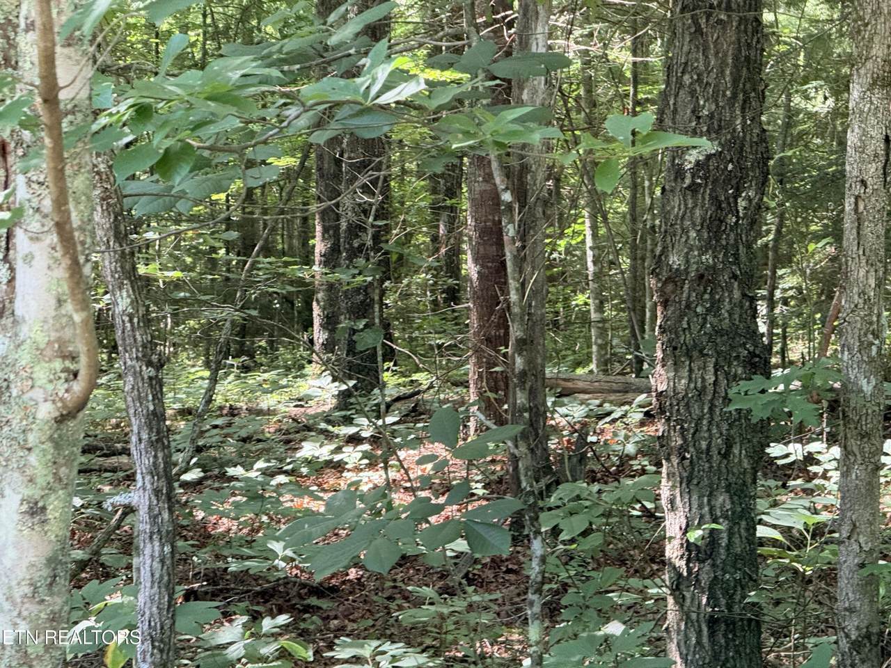 https://bt-photos.global.ssl.fastly.net/nashville/1280_boomver_1_RTC3259728-1.jpg