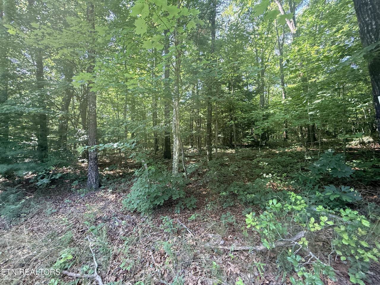 https://bt-photos.global.ssl.fastly.net/nashville/1280_boomver_1_RTC3259728-1.jpg