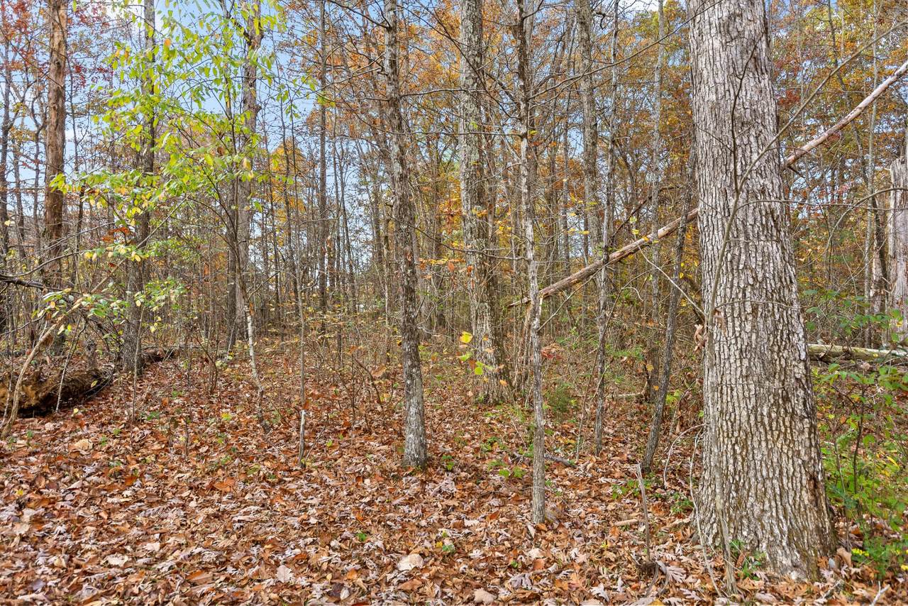 https://bt-photos.global.ssl.fastly.net/nashville/1280_boomver_1_RTC3259772-1.jpg