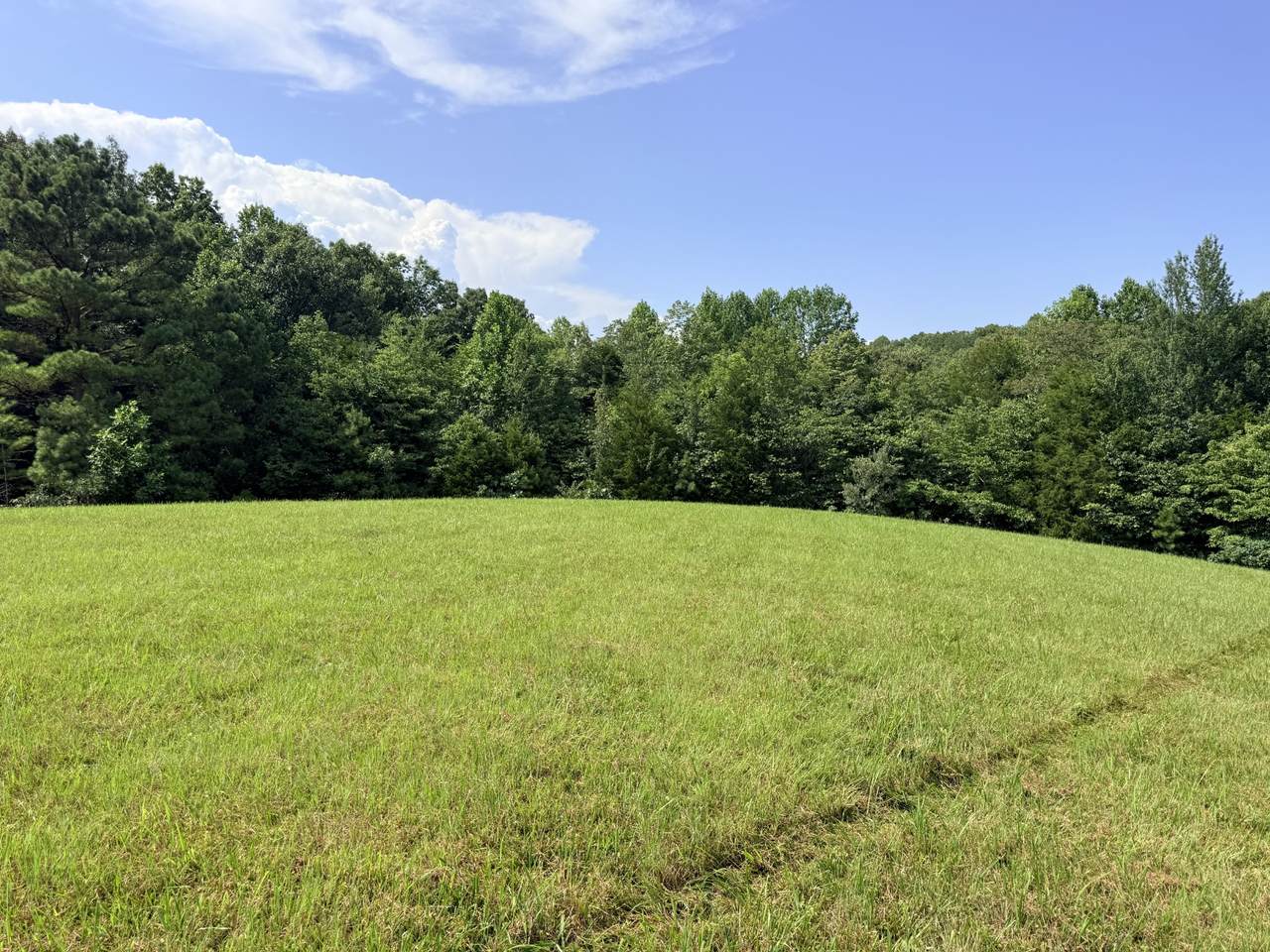 https://bt-photos.global.ssl.fastly.net/nashville/orig_boomver_1_RTC3259787-1.jpg