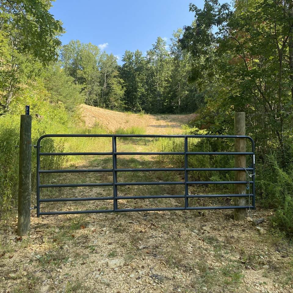 401 Napier Rd - Photo 1