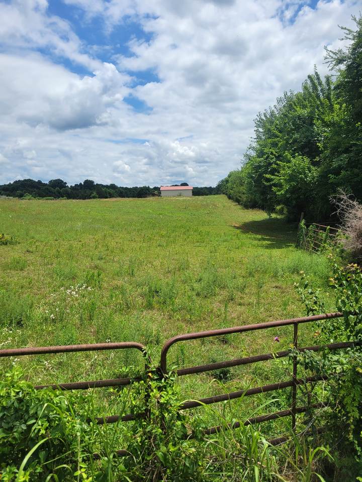 0 Midland Fosterville - Photo 1