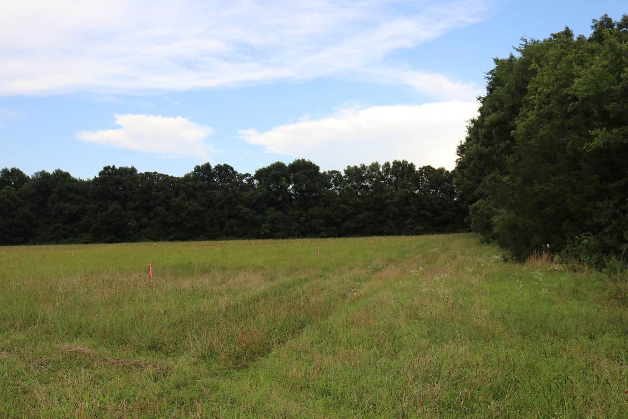 https://bt-photos.global.ssl.fastly.net/nashville/1280_boomver_1_RTC3260106-1.jpg