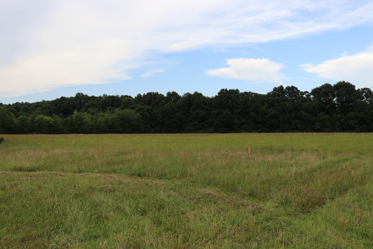https://bt-photos.global.ssl.fastly.net/nashville/1280_boomver_1_RTC3260106-1.jpg