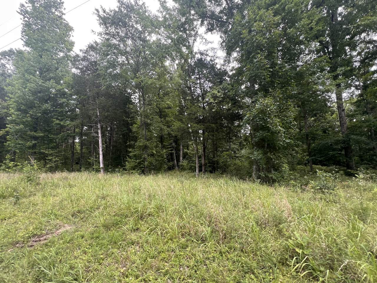 2 Toms Creek Lake Rd - Photo 1
