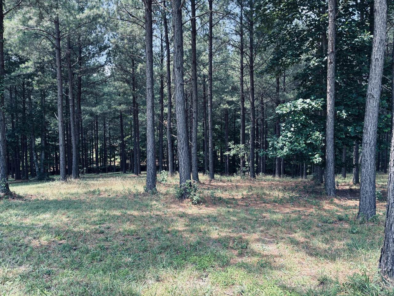 https://bt-photos.global.ssl.fastly.net/nashville/1280_boomver_1_RTC3260170-1.jpg