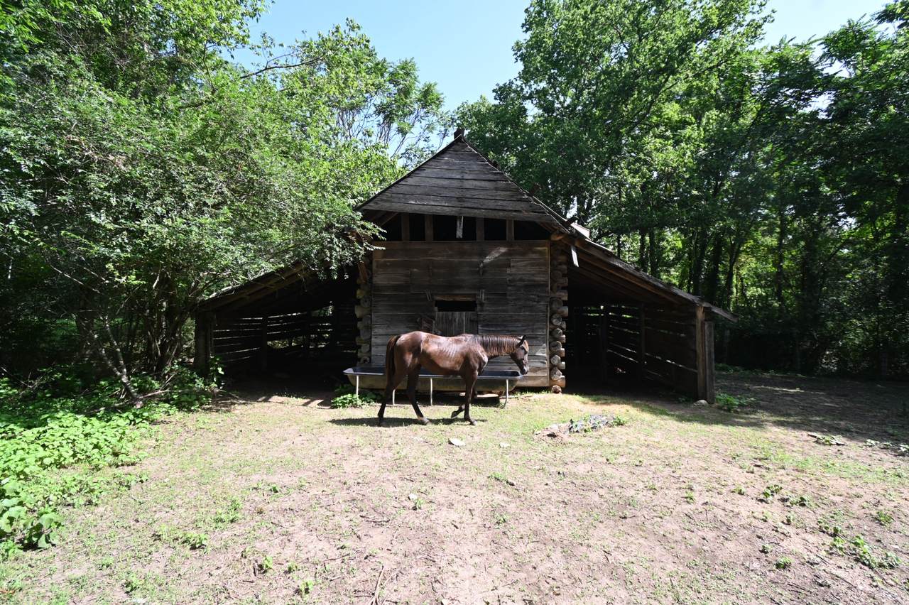 https://bt-photos.global.ssl.fastly.net/nashville/1280_boomver_1_RTC3260192-1.jpg