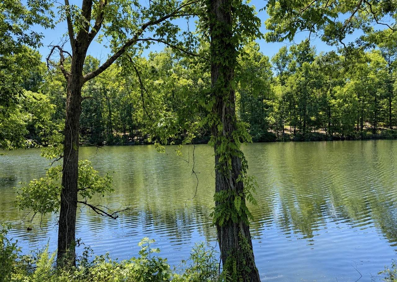 https://bt-photos.global.ssl.fastly.net/nashville/1280_boomver_1_RTC3260198-1.jpg