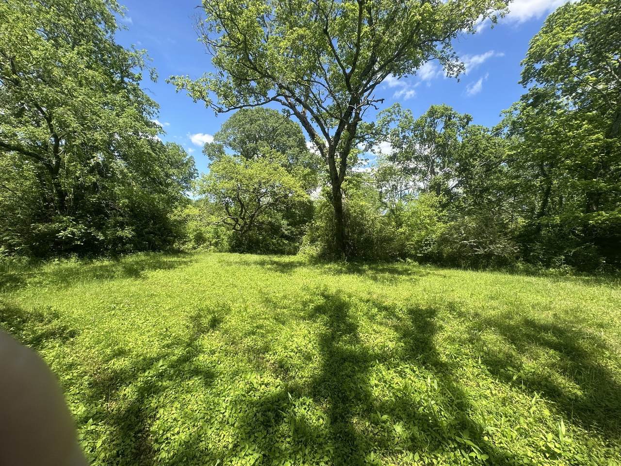 https://bt-photos.global.ssl.fastly.net/nashville/1280_boomver_1_RTC3260557-1.jpg