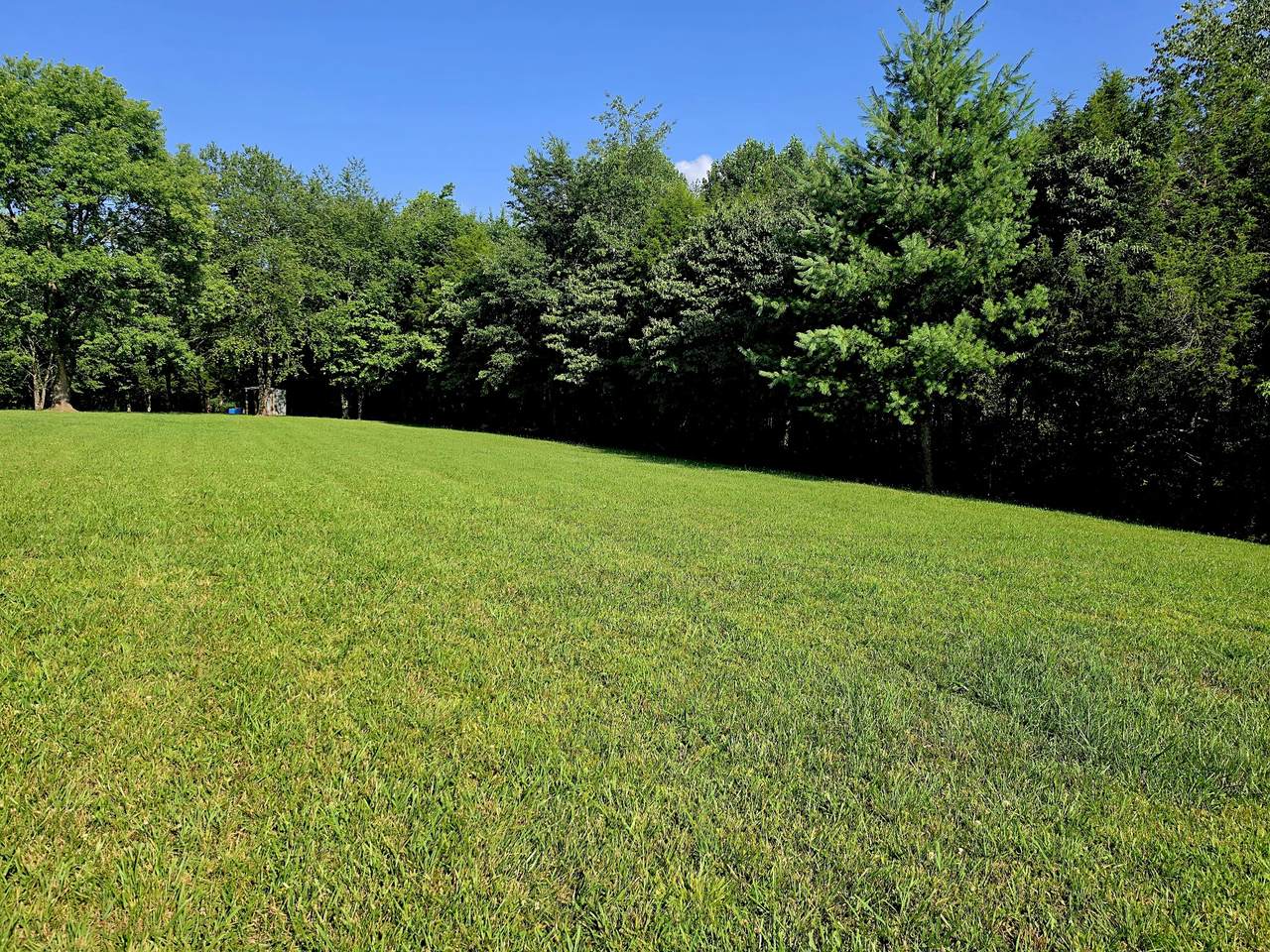 0 Tulip Ln - Photo 1