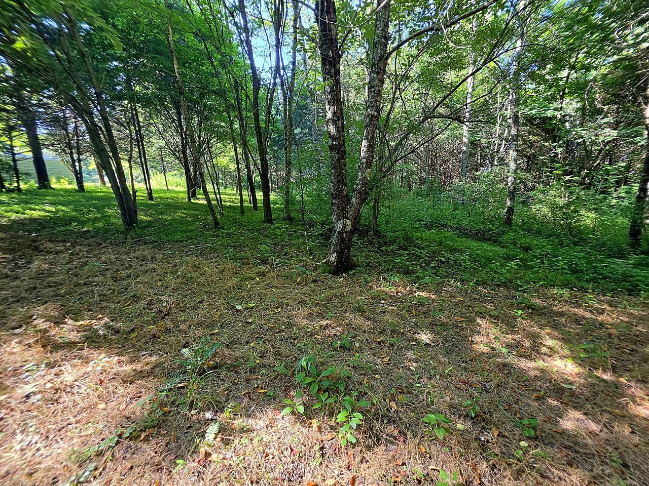 https://bt-photos.global.ssl.fastly.net/nashville/1280_boomver_1_RTC3260580-1.jpg
