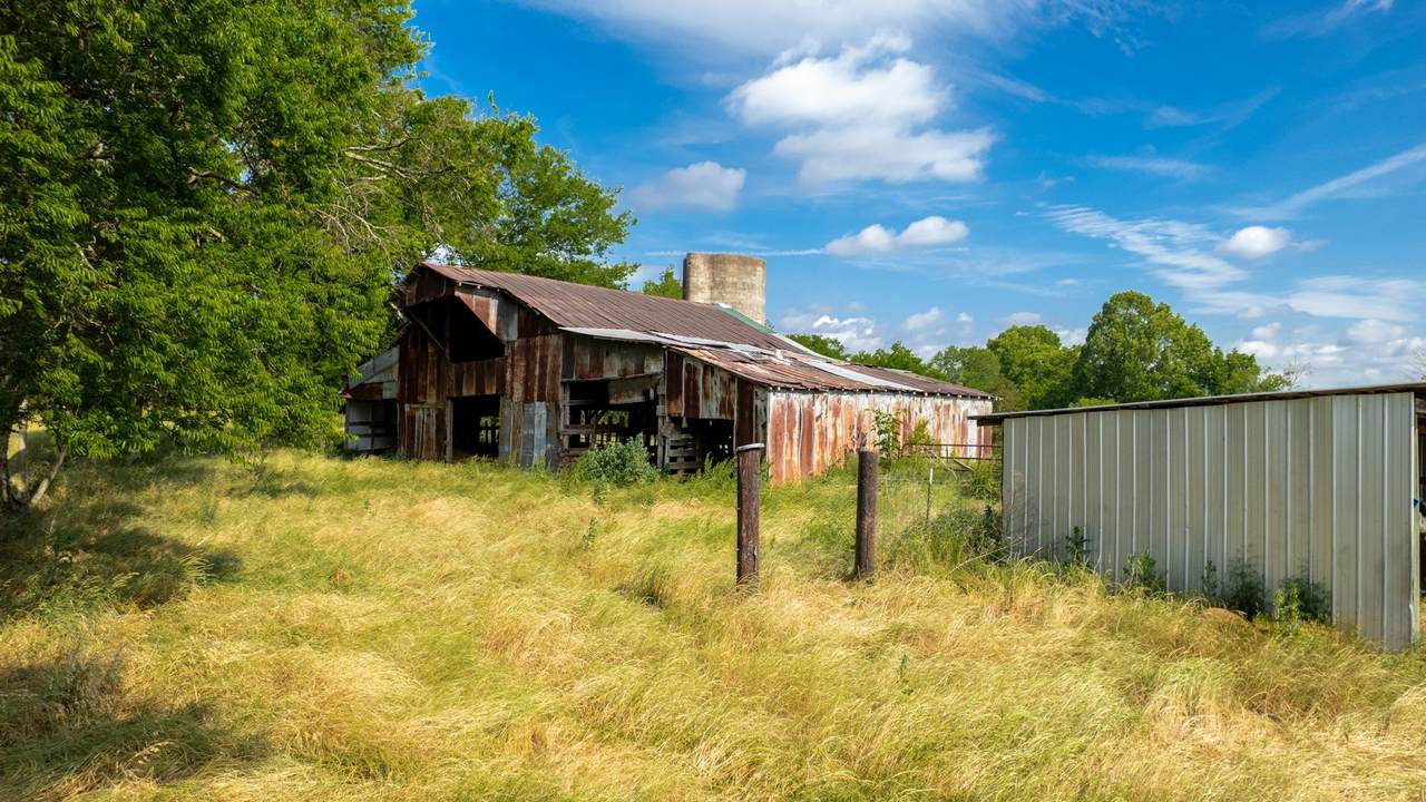 https://bt-photos.global.ssl.fastly.net/nashville/1280_boomver_1_RTC3260609-1.jpg