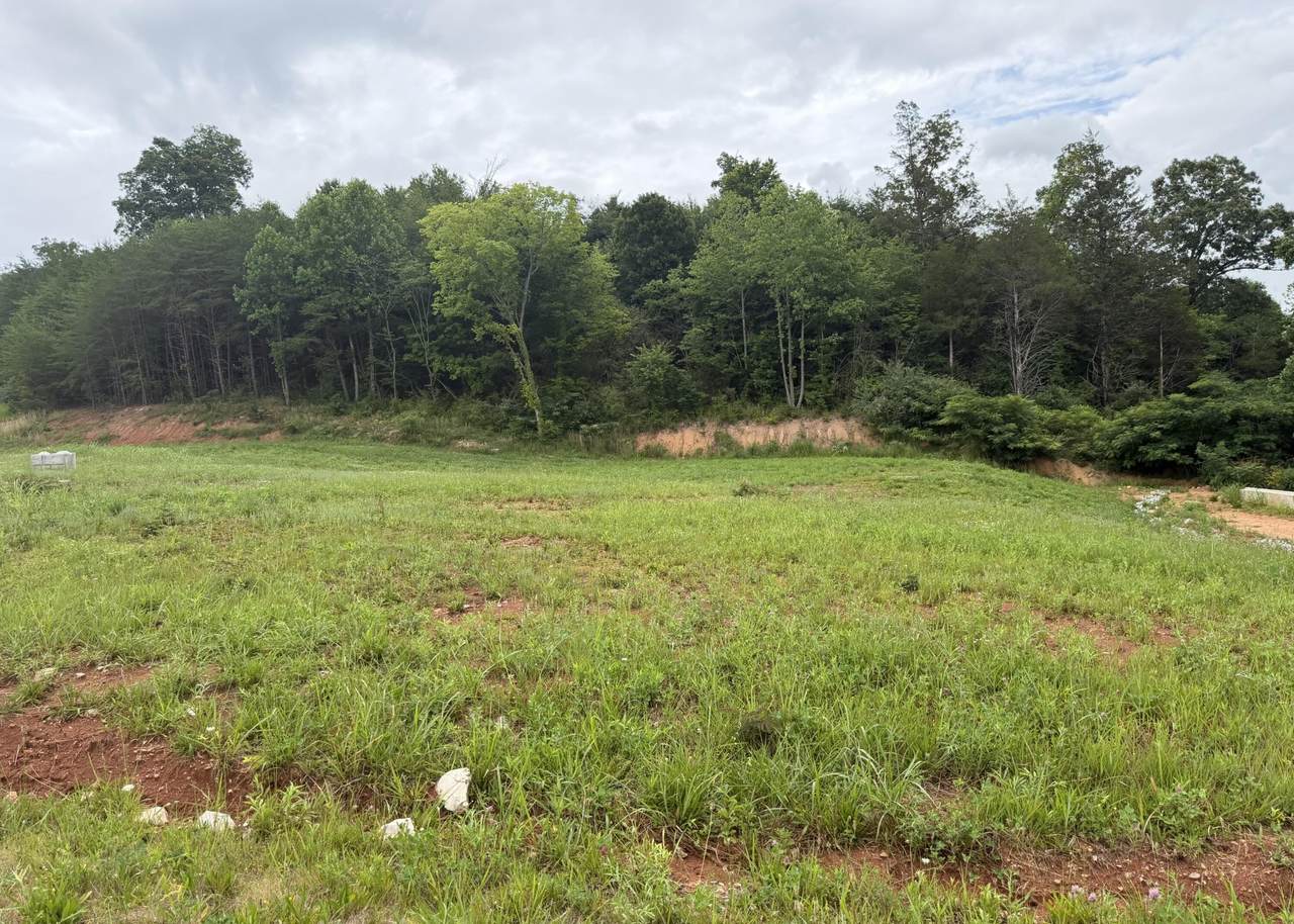 0 Bear Lane - Photo 1