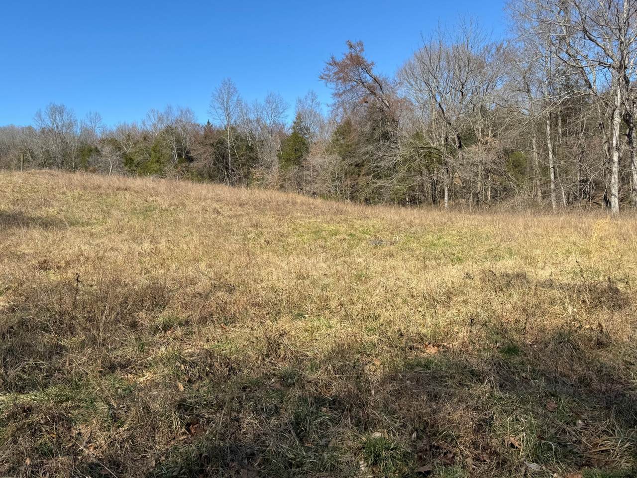 0 Corlew Road - Photo 1