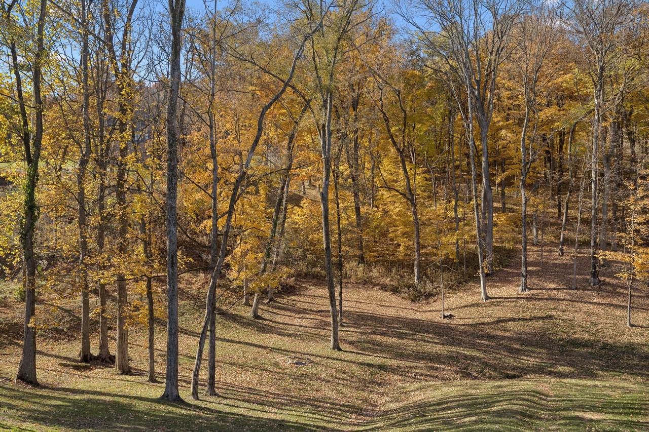 9502 Grand Haven Dr - Photo 1