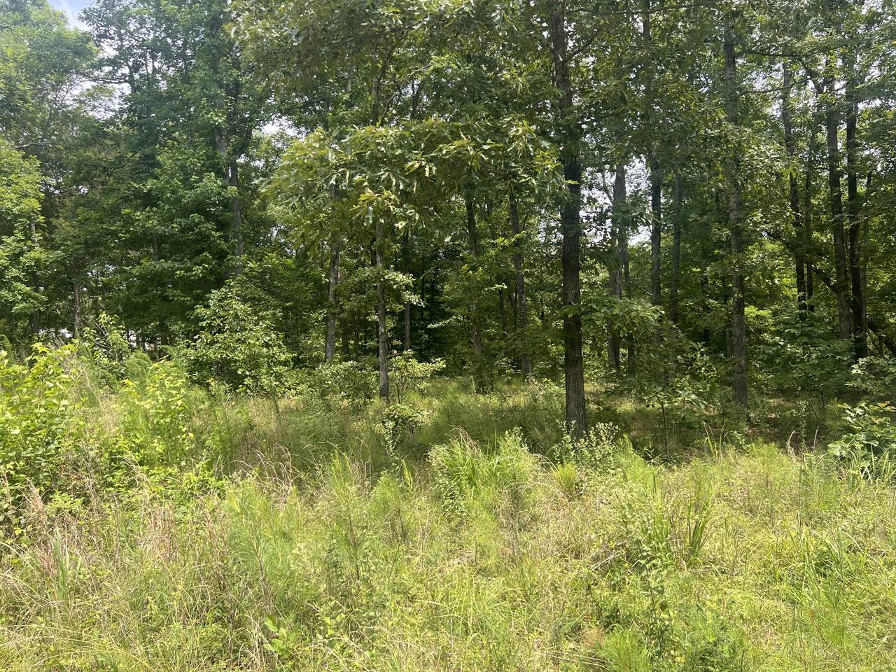 https://bt-photos.global.ssl.fastly.net/nashville/1280_boomver_1_RTC3261073-1.jpg