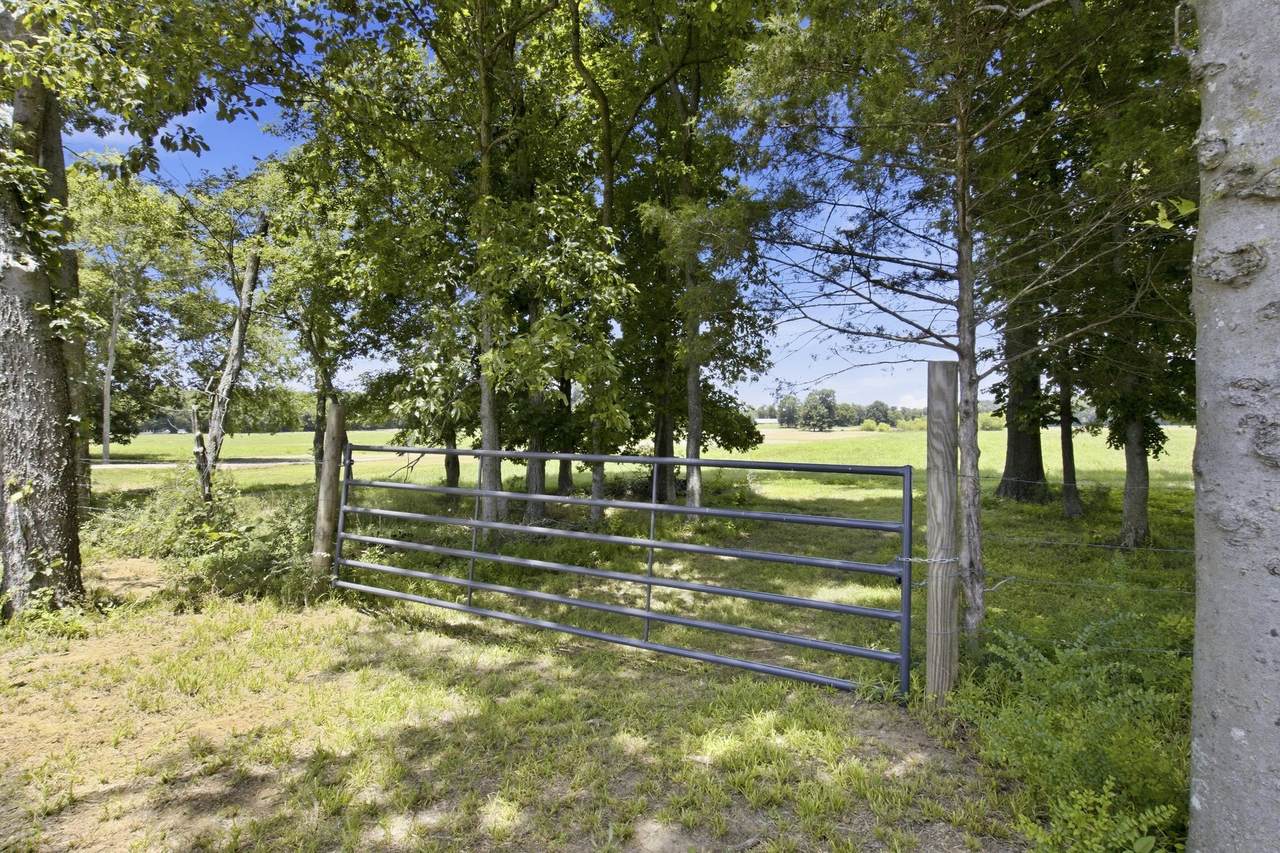 https://bt-photos.global.ssl.fastly.net/nashville/1280_boomver_1_RTC3261074-1.jpg