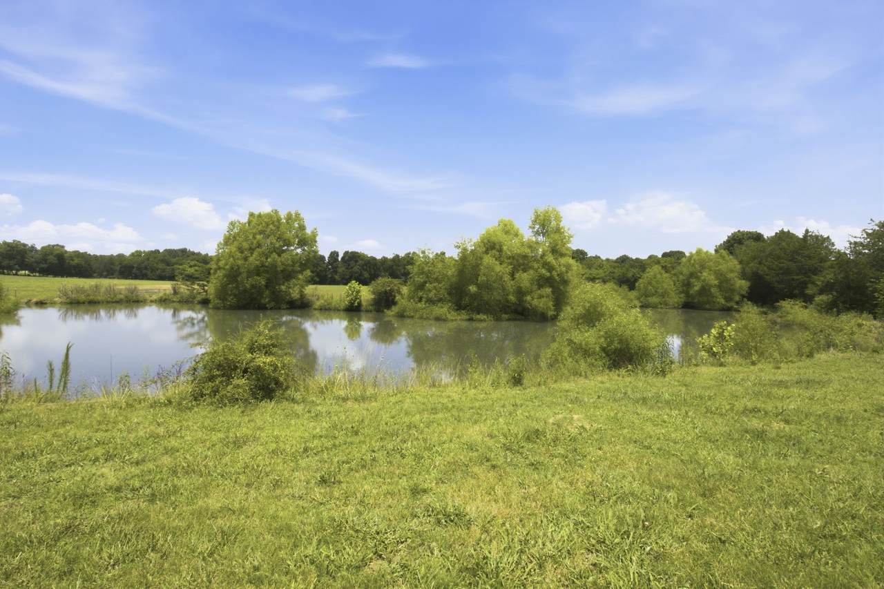 https://bt-photos.global.ssl.fastly.net/nashville/1280_boomver_1_RTC3261074-1.jpg