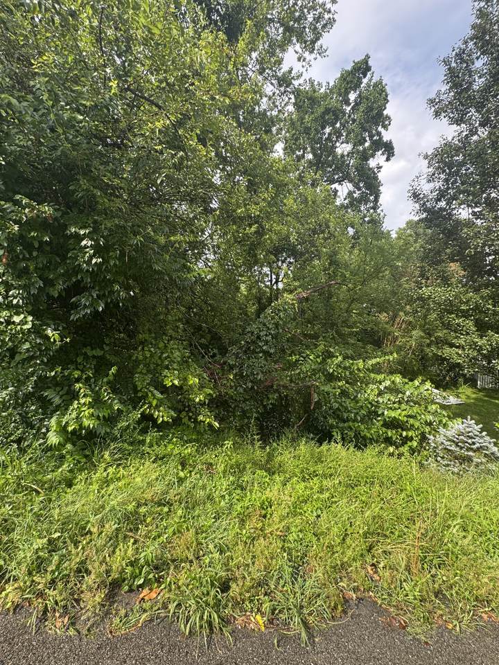 https://bt-photos.global.ssl.fastly.net/nashville/1280_boomver_1_RTC3261491-1.jpg