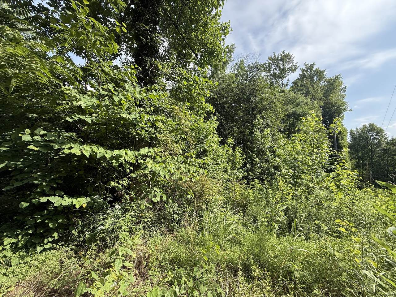 https://bt-photos.global.ssl.fastly.net/nashville/1280_boomver_1_RTC3261991-1.jpg