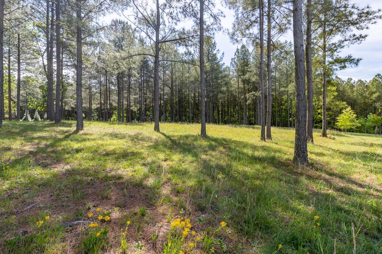 1600 Raulston Falls Road - Photo 1