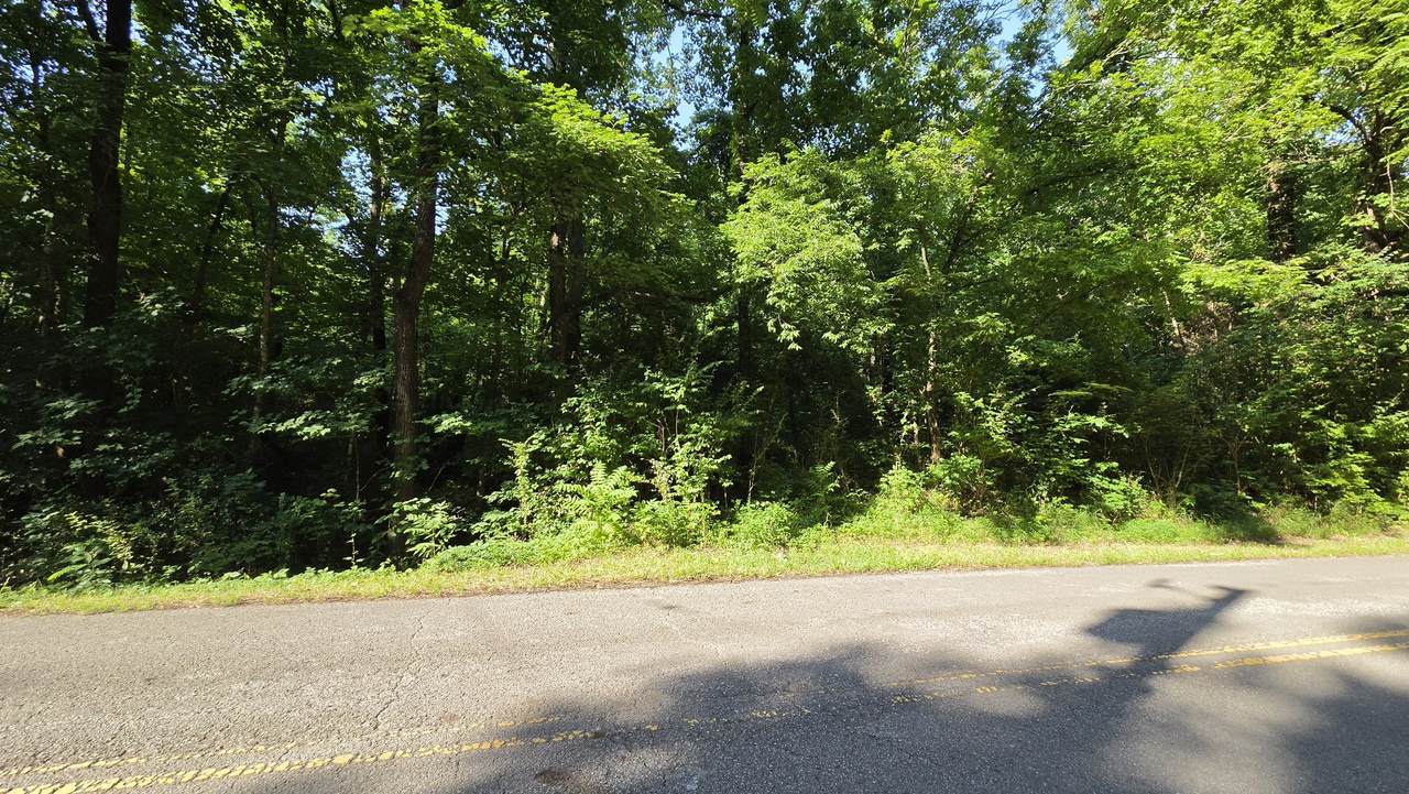 https://bt-photos.global.ssl.fastly.net/nashville/1280_boomver_1_RTC3262630-1.jpg