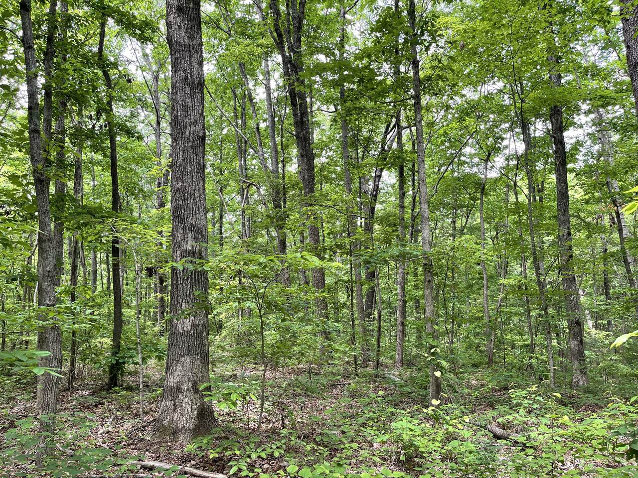 https://bt-photos.global.ssl.fastly.net/nashville/1280_boomver_1_RTC3262650-1.jpg