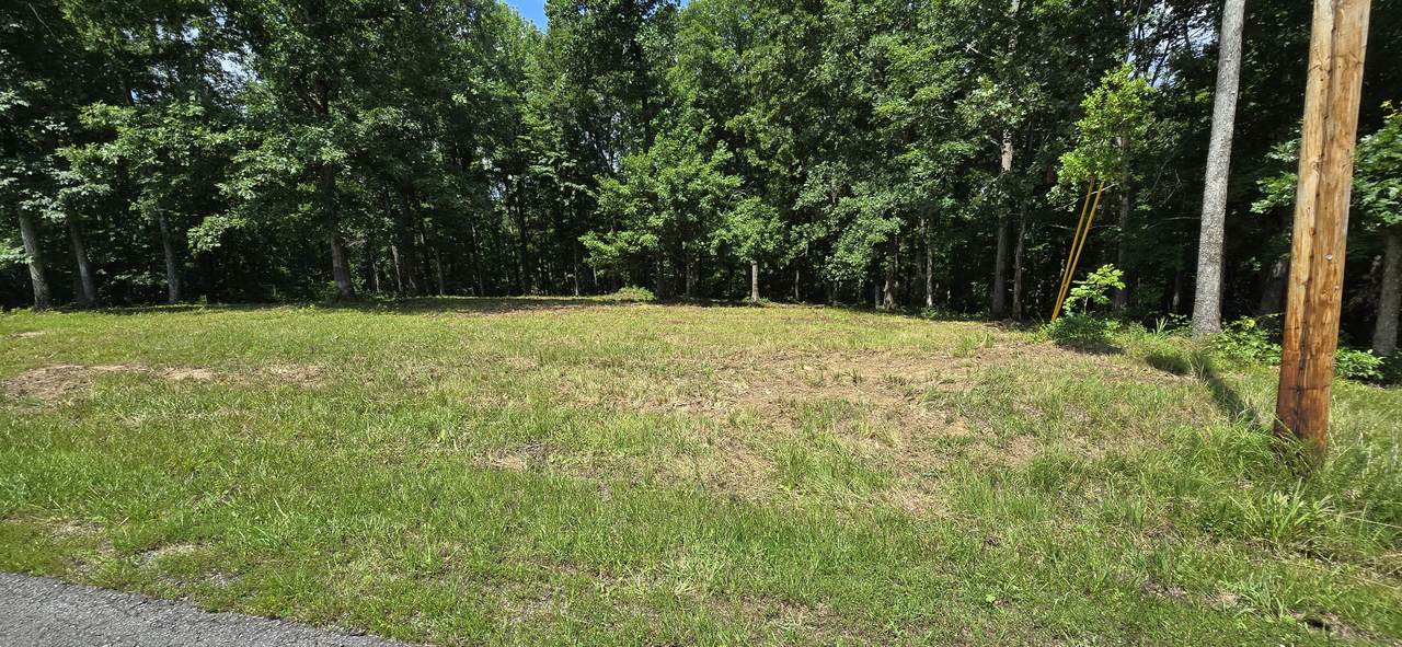 2770 Mayne Trace Rd - Photo 1