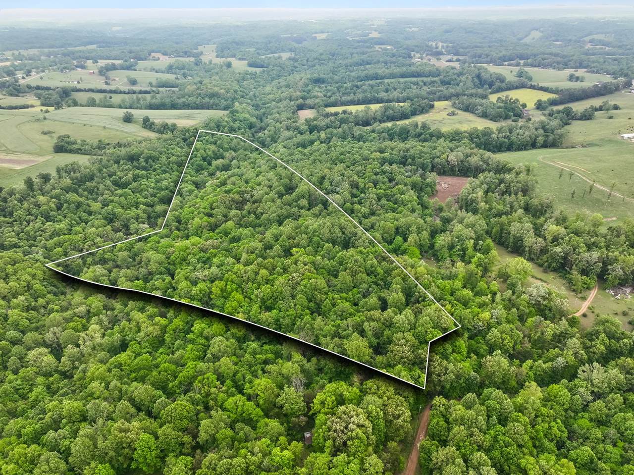 0 Wilderness Lane - Photo 1