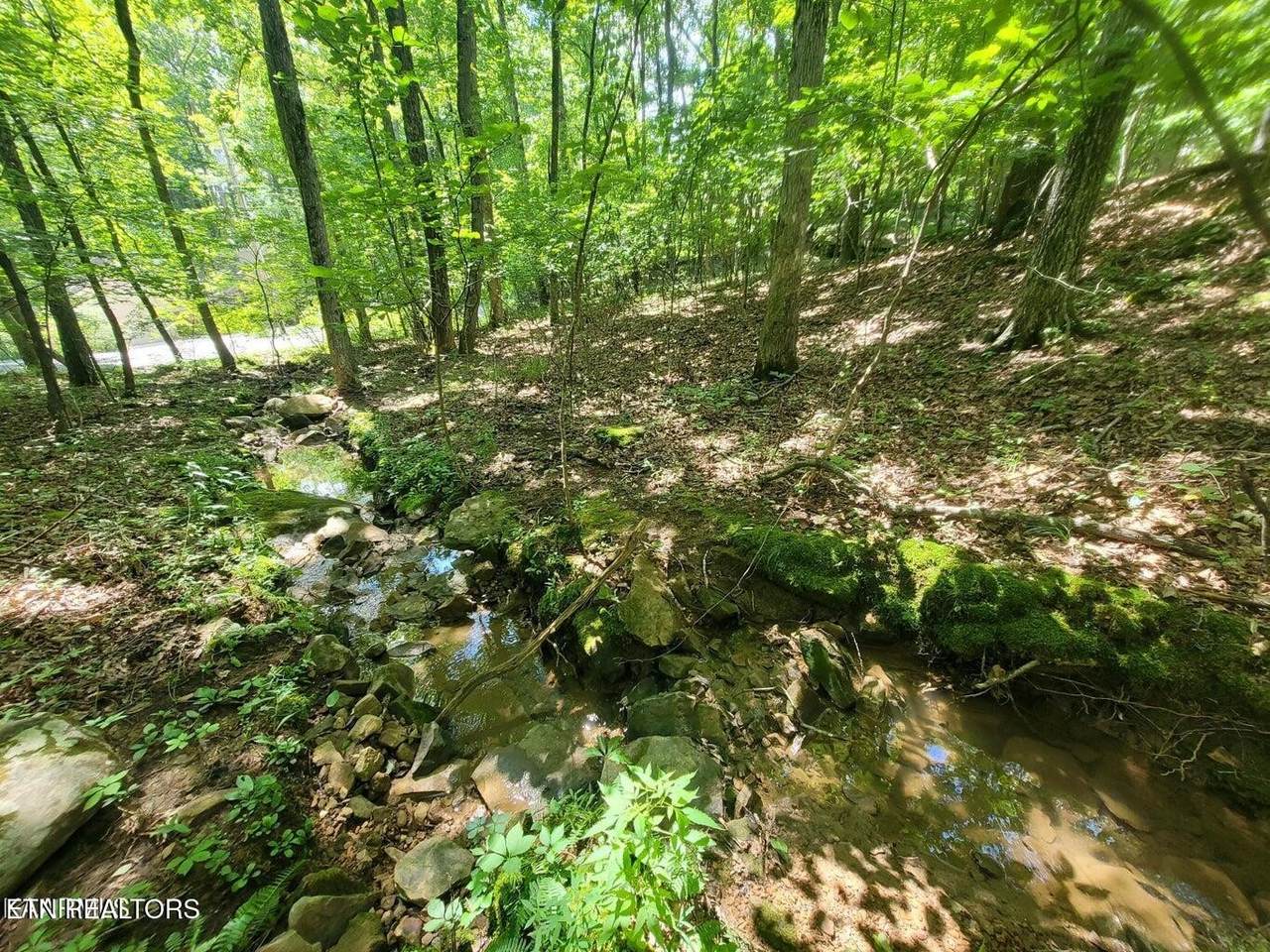 159 Sugarbush Circle - Photo 1