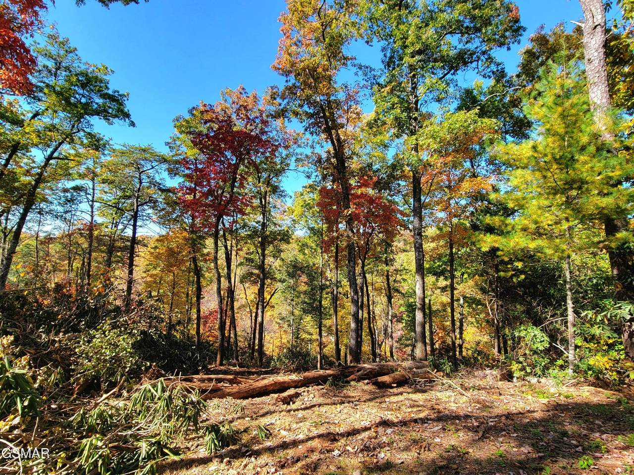 https://bt-photos.global.ssl.fastly.net/nashville/1280_boomver_1_RTC3263115-1.jpg