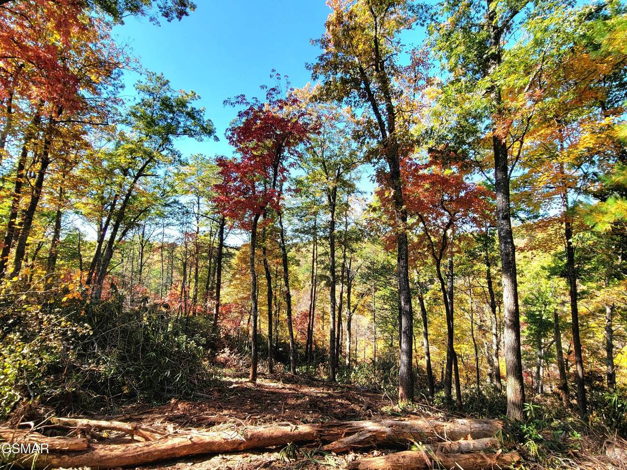 https://bt-photos.global.ssl.fastly.net/nashville/1280_boomver_1_RTC3263115-1.jpg