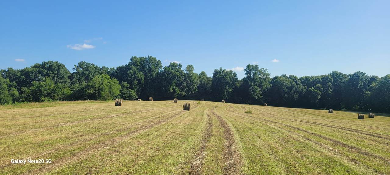 0 Pass Rd - Photo 1