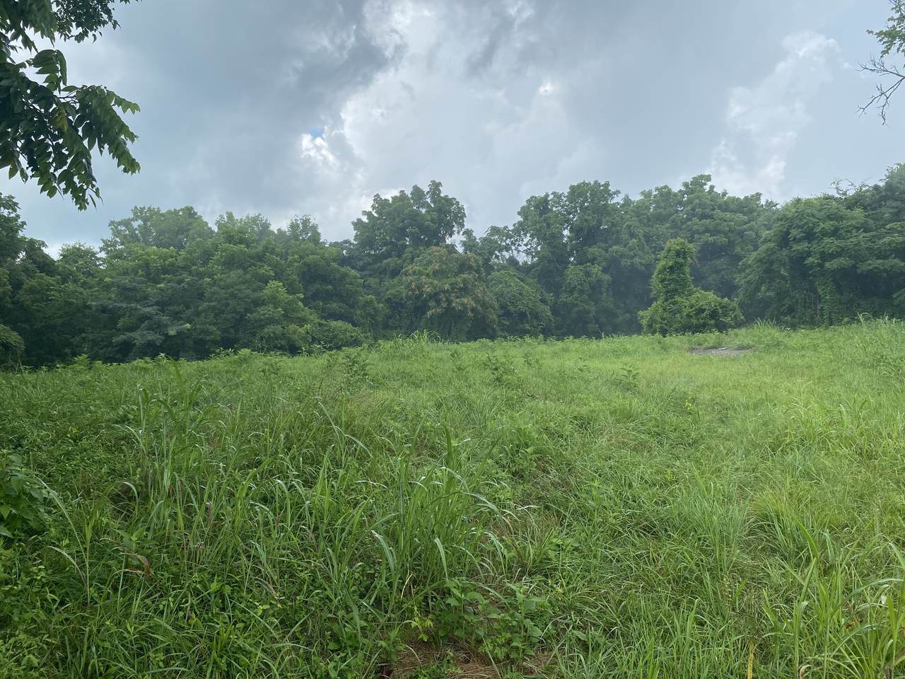 0 Johnson Road - Photo 1