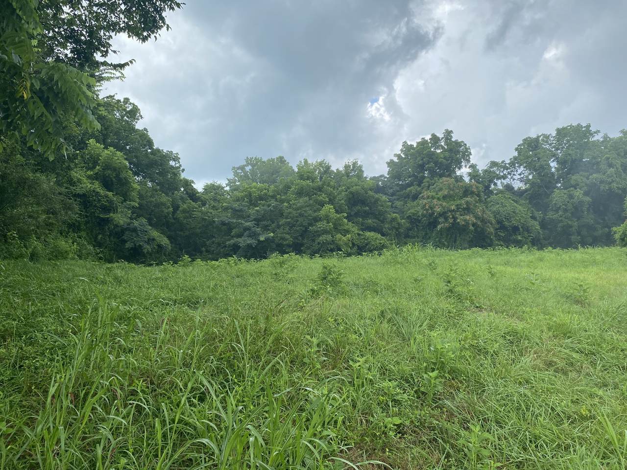 https://bt-photos.global.ssl.fastly.net/nashville/1280_boomver_1_RTC3268486-1.jpg