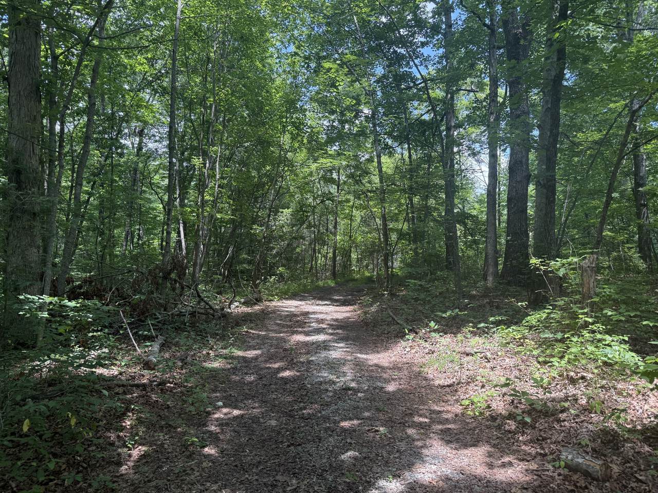0 Wilder Hwy - Photo 1