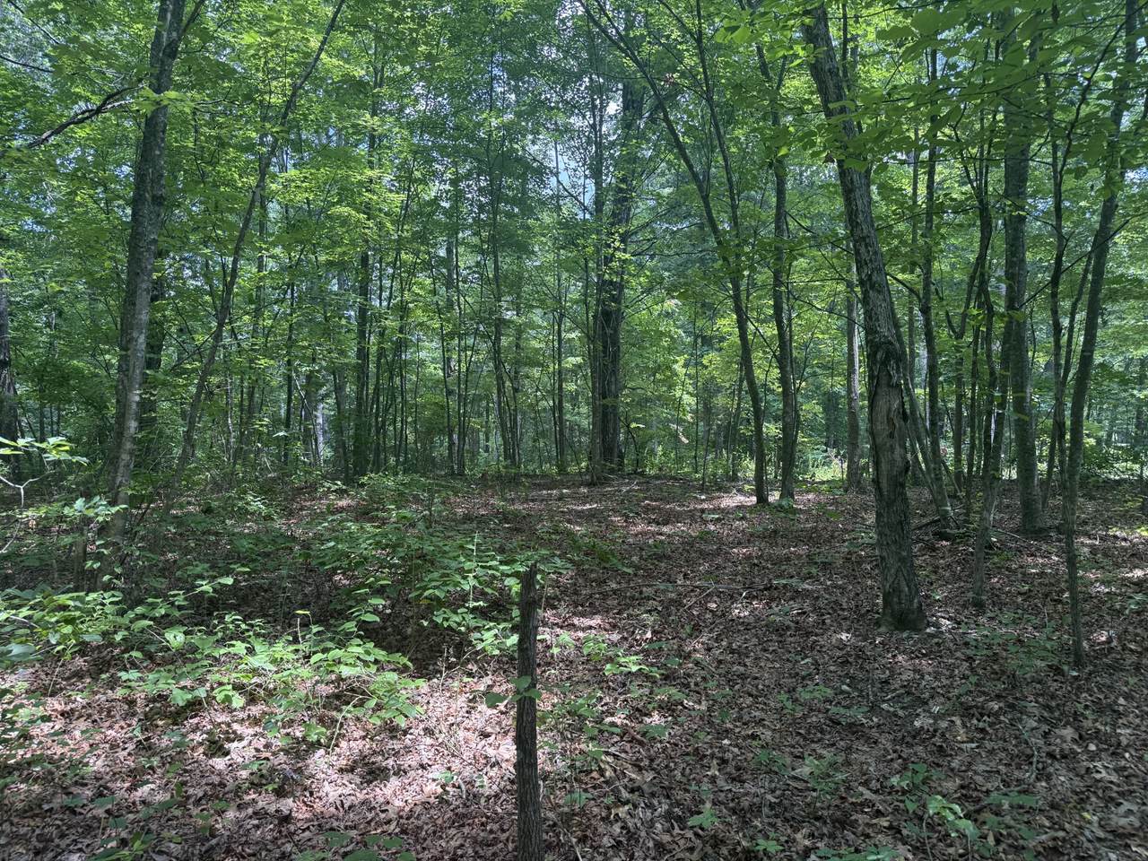 https://bt-photos.global.ssl.fastly.net/nashville/1280_boomver_1_RTC3269731-1.jpg