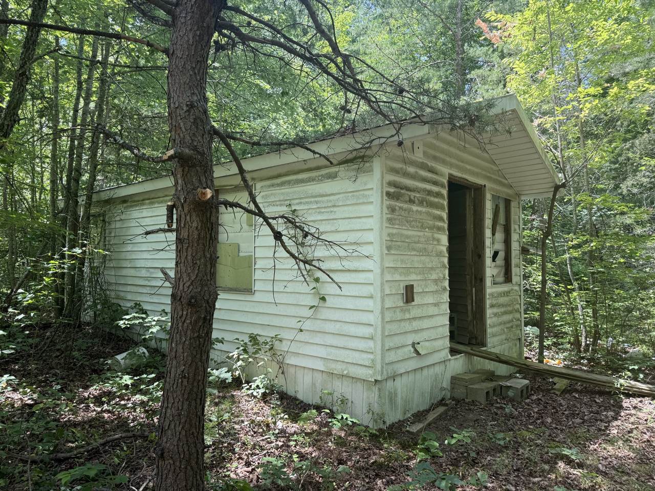 https://bt-photos.global.ssl.fastly.net/nashville/1280_boomver_1_RTC3269731-1.jpg