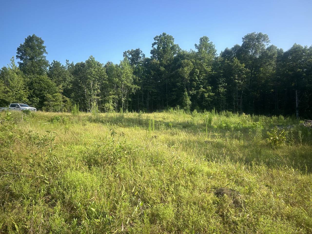2853 Old Natchez Trace Trail - Photo 1