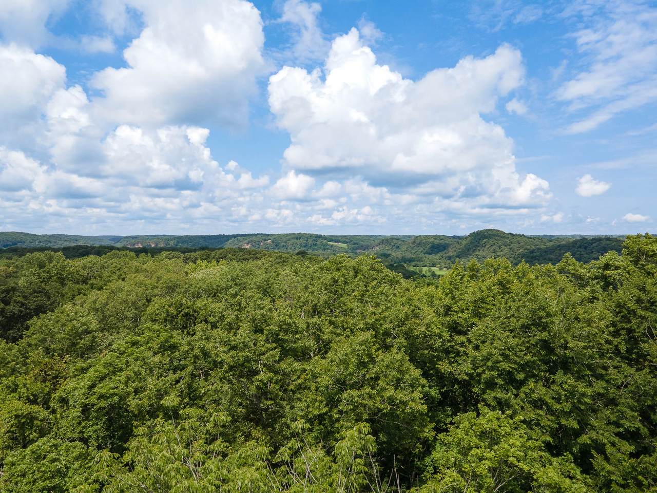 https://bt-photos.global.ssl.fastly.net/nashville/1280_boomver_1_RTC3272105-1.jpg