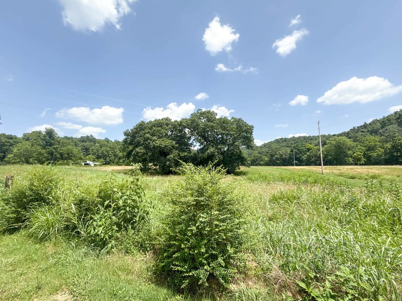 https://bt-photos.global.ssl.fastly.net/nashville/1280_boomver_1_RTC3276578-1.jpg