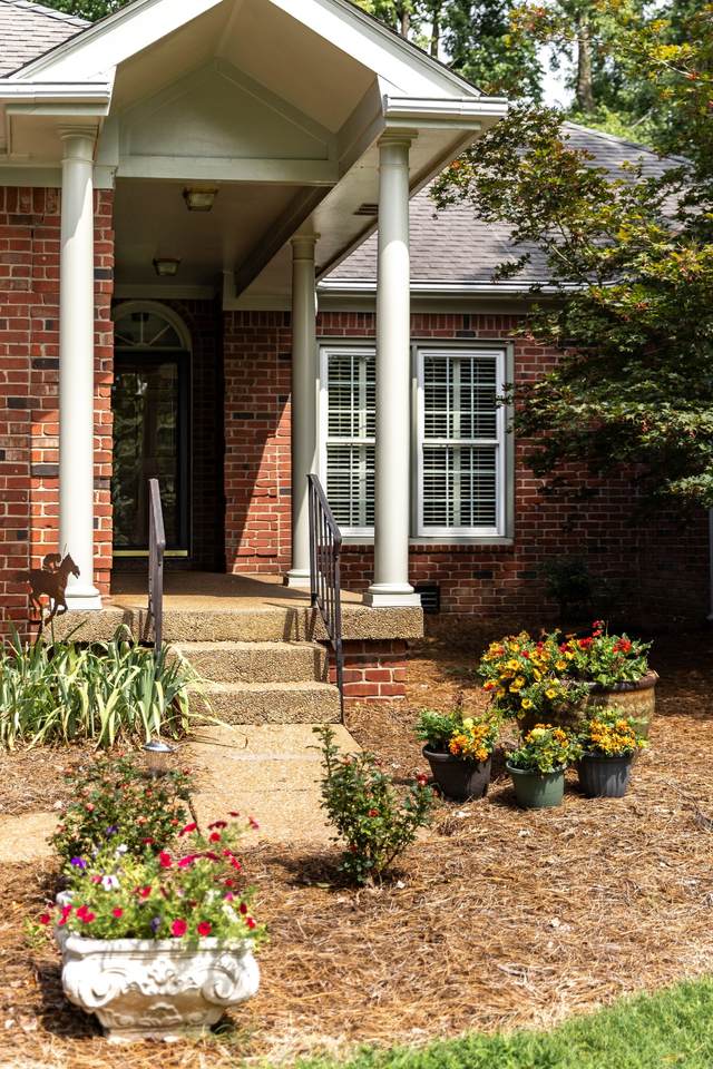 https://bt-photos.global.ssl.fastly.net/nashville/1280_boomver_1_RTC3276737-1.jpg