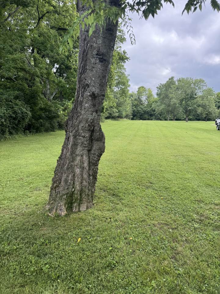 https://bt-photos.global.ssl.fastly.net/nashville/1280_boomver_1_RTC3277659-1.jpg