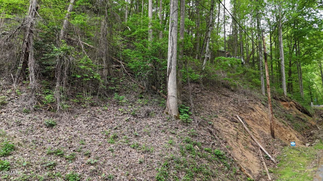 https://bt-photos.global.ssl.fastly.net/nashville/1280_boomver_1_RTC3278217-1.jpg
